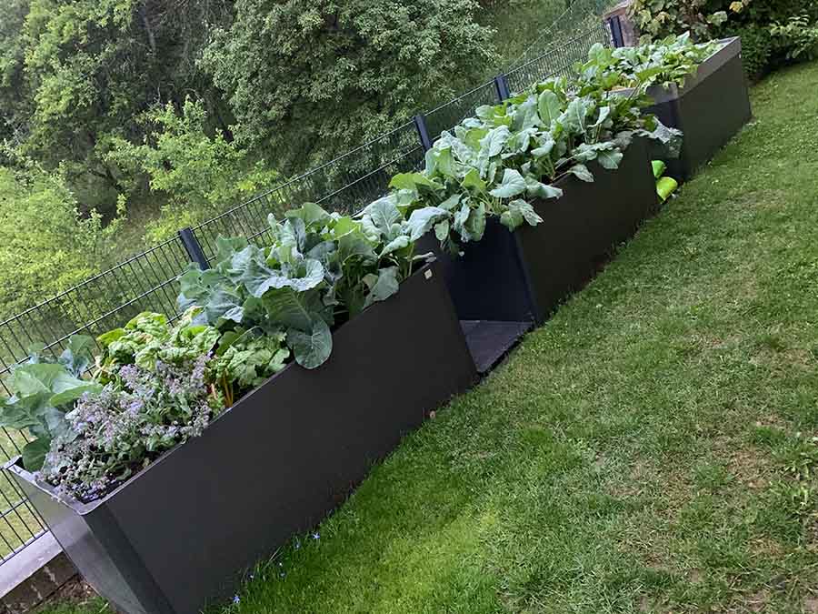 Biohort Zvýšený truhlík na zeleninu 1,5 x 1 tmavě šedá metalíza