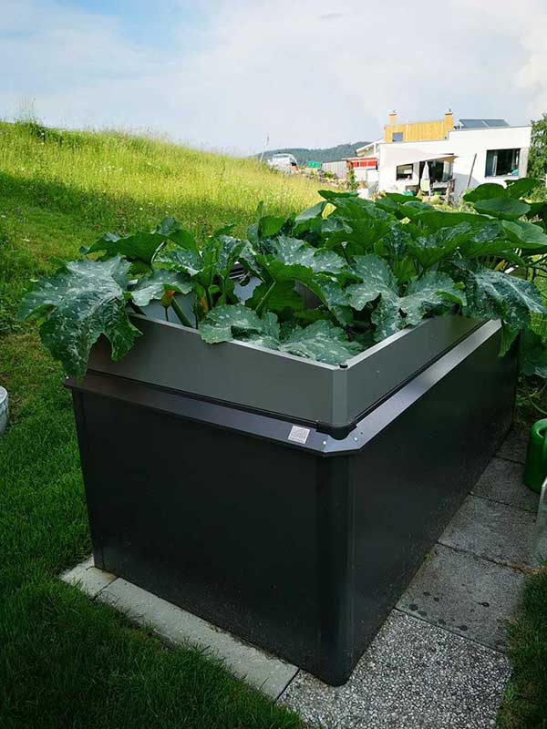 Biohort Zvýšený truhlík na zeleninu 1,5 x 1 tmavě šedá metalíza
