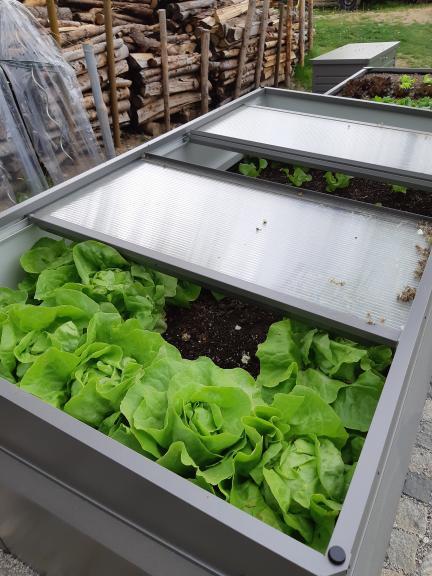 Biohort Zvýšený truhlík na zeleninu 1,5 x 1 tmavě šedá metalíza
