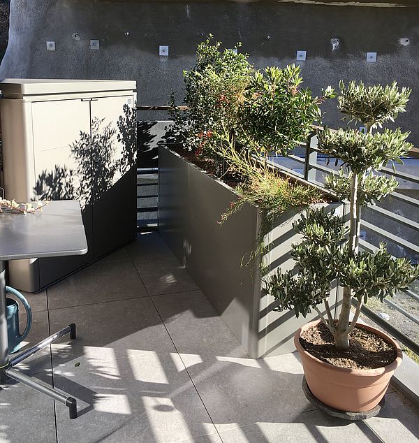 Biohort Truhlík Belvedere L150 maxi stříbrná metalíza